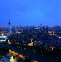 包含棒球夜战：海滨飞鹰队绝杀瓯越犀牛队，速度优势明显目标直指冠军的词条-九游体育